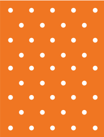 AlloDerm™ RTM Perforated Rectangle