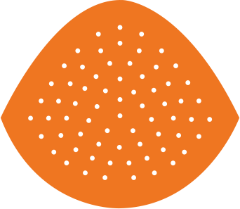 AlloDerm™ RTM RESTORE Perforated